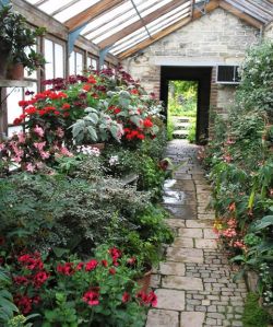 Inside The Greenhouse
